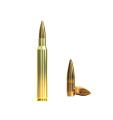 Nabój Sellier & Bellot kal. 30-06 FMJ 11,7g - idealny do strzelania sportowego i polowania, maksymalna precyzja i siła.