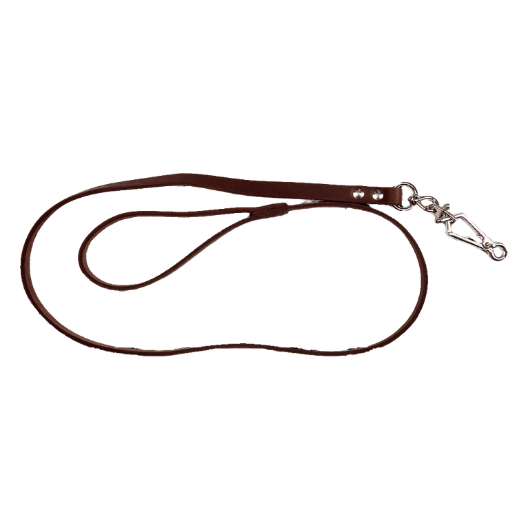 Smycz Nature 120 cm 2WOLFS - smycz do codziennego używania podczas spacerów i treningu z psem.