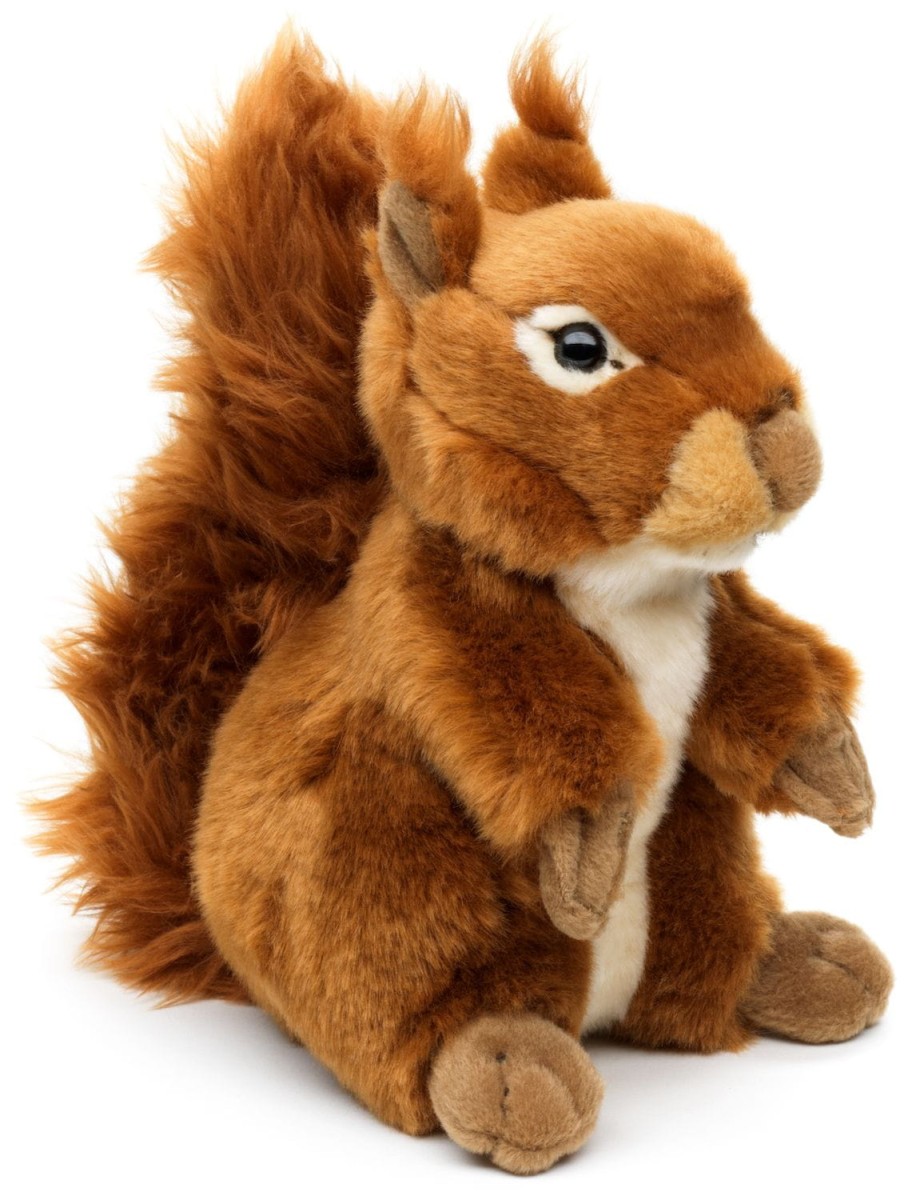 squirrel.jpg