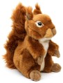 squirrel.jpg