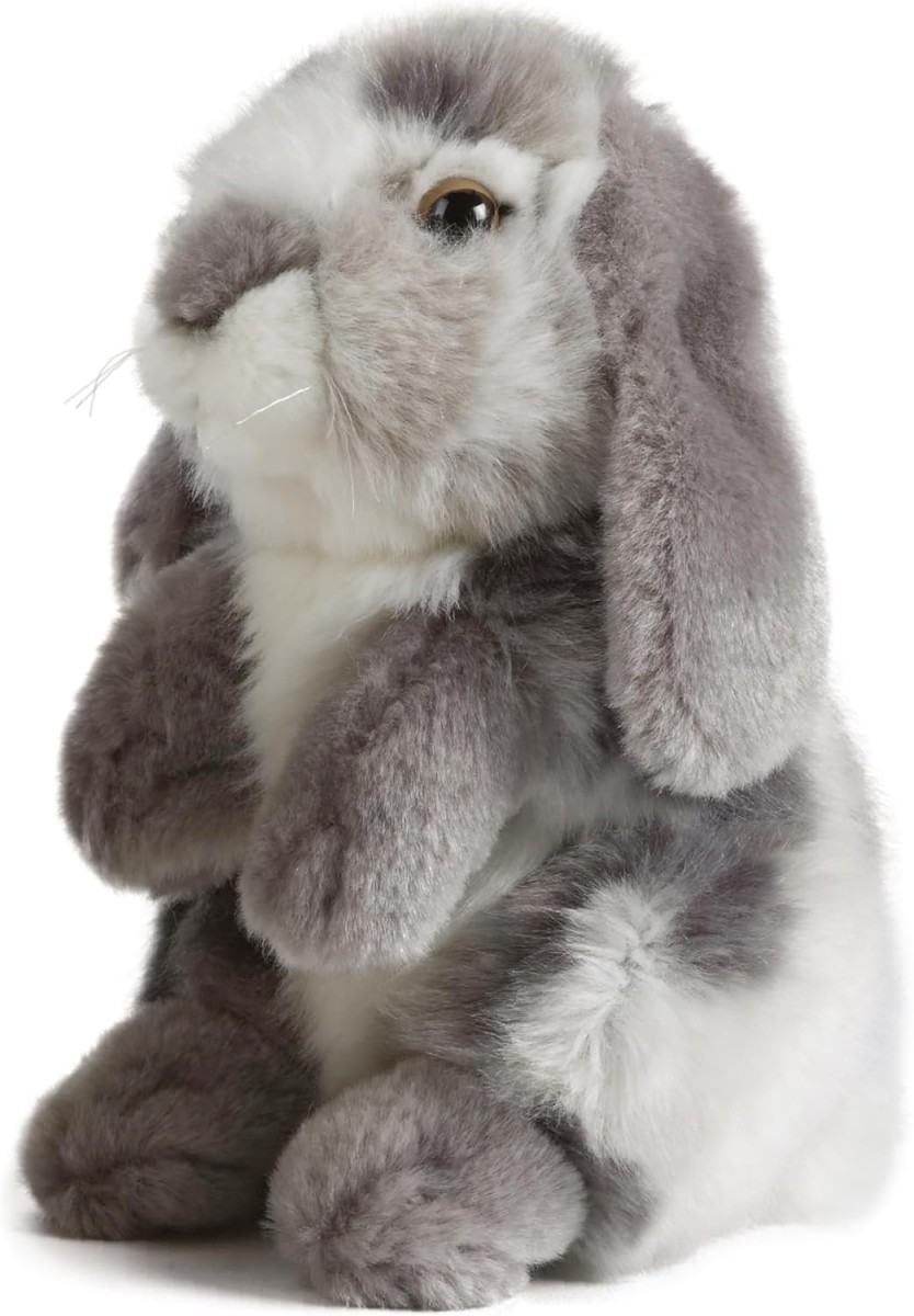 rabbit.jpg