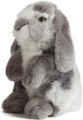 rabbit.jpg