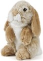 rabbit brown.jpg
