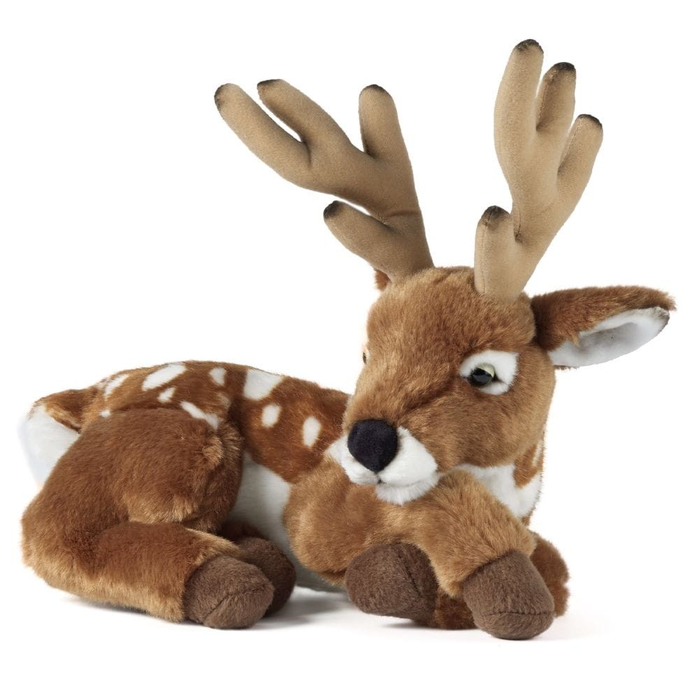 deer-w-antlers.jpg