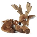 deer-w-antlers.jpg