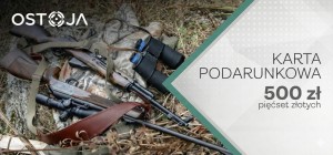 Karta Prezentowa 500 zł