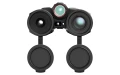 3.webp