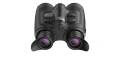 13.webp